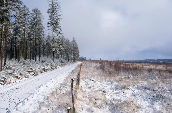 Des chutes de neige possibles sur les hauteurs la semaine prochaine