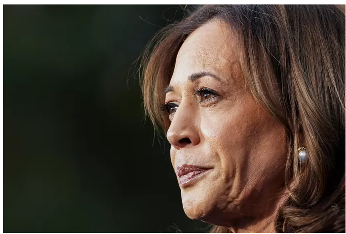 Comment expliquer la défaite de Kamala Harris?