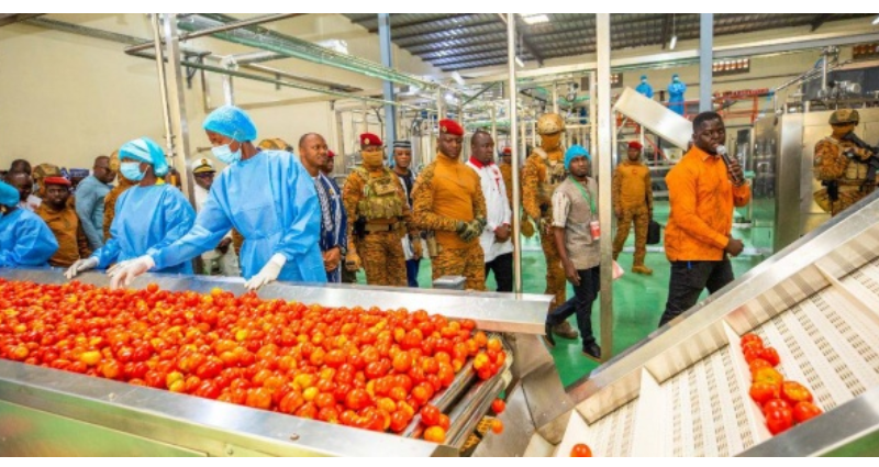 Burkina Faso : Ouverture d’une deuxième usine de transformation de tomates grâce au succès de l’actionnariat populaire