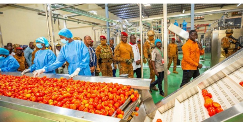 Burkina Faso : Ouverture d’une deuxième usine de transformation de tomates grâce au succès de l’actionnariat populaire