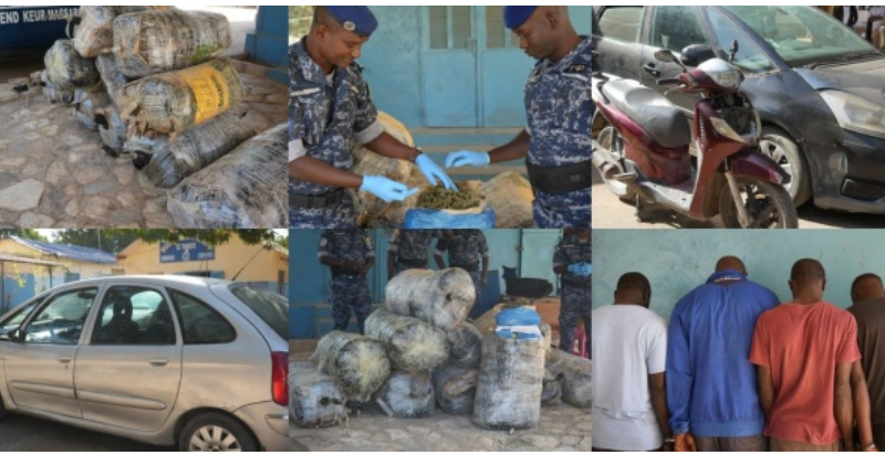 Thiaroye : 4 dealers arrêtés par la gendarmerie avec 480 kg de drogue