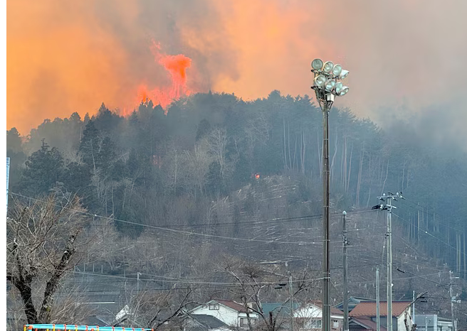 600 personnes évacuées après des feux de forêt au Japon, au moins un mort